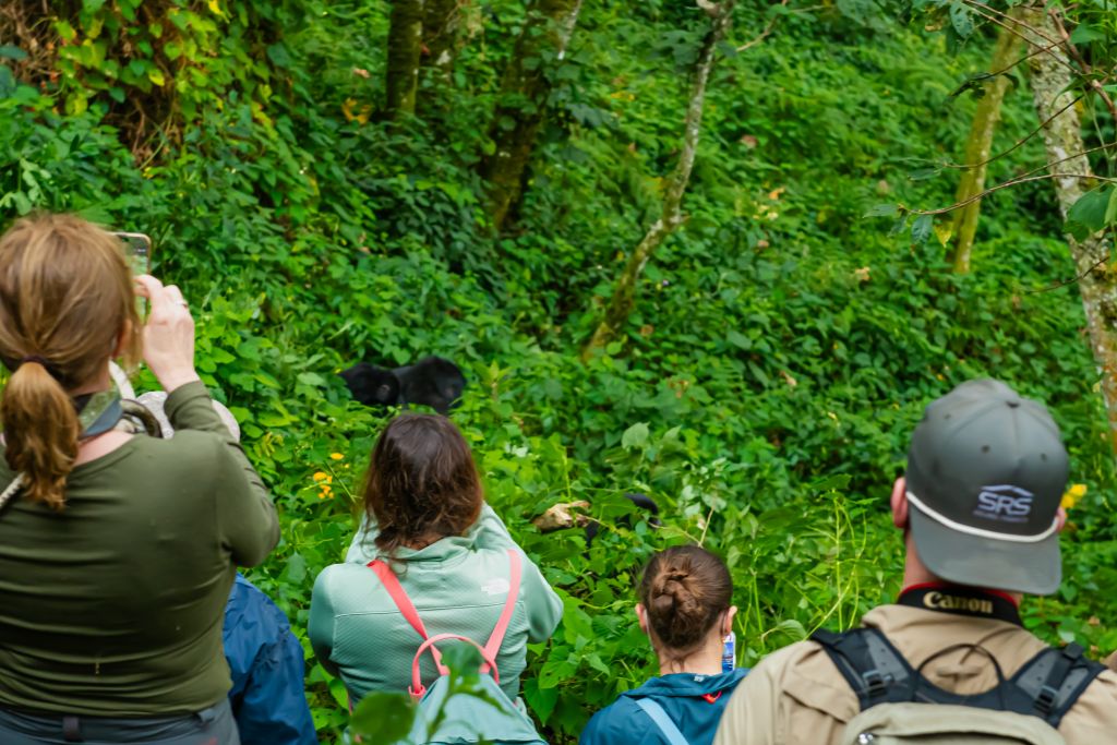 Hillary guiding a wildlife photography safari in Uganda