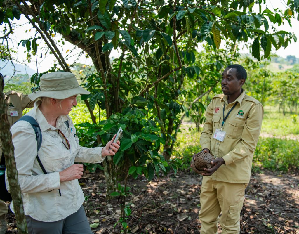 pangolin rescue centre in Buhoma