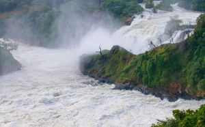 The falls of Murchison national park