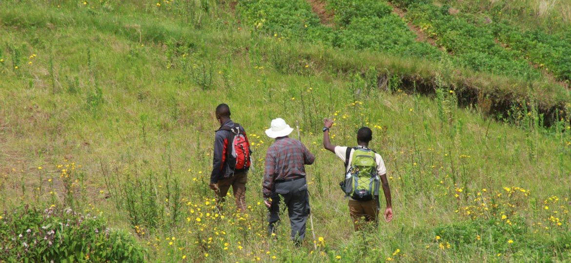 tips for visa application in Uganda