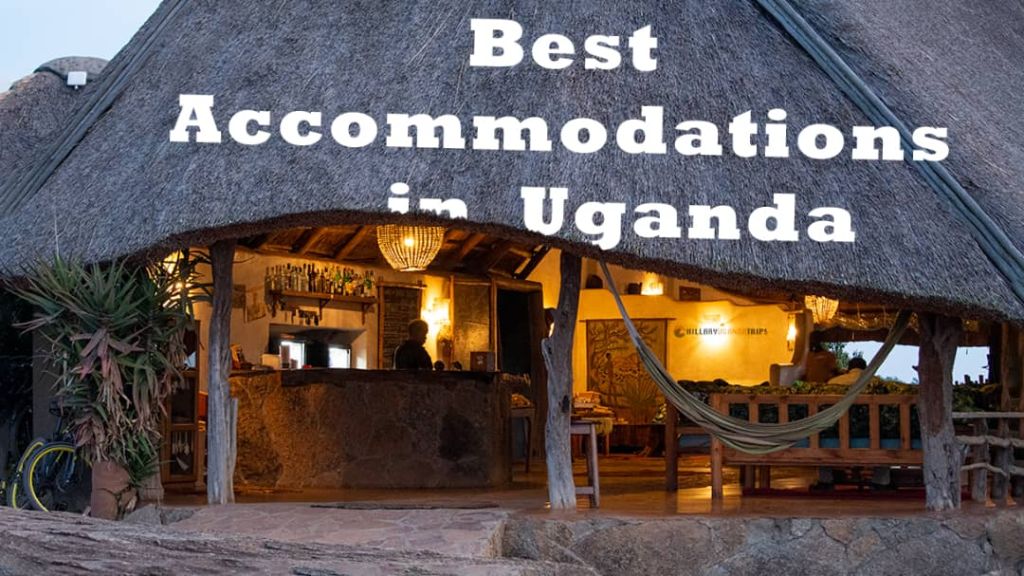 Discover the Best Uganda Safari Lodges for an Unforgettable Local Experience