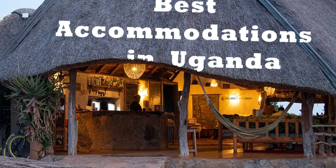 Discover the Best Uganda Safari Lodges for an Unforgettable Local Experience