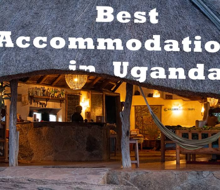 Discover the Best Uganda Safari Lodges for an Unforgettable Local Experience