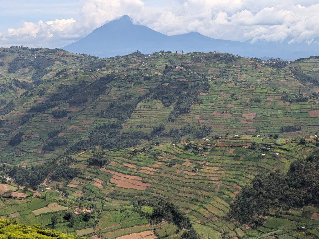 how much is a budget 3 day gorilla safari in Uganda
