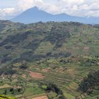 how much is a budget 3 day gorilla safari in Uganda