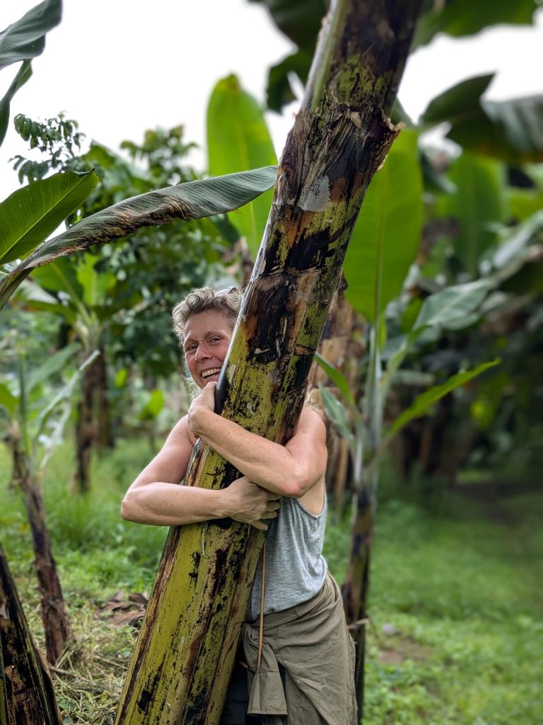 Top Local Activities in Kisoro with a Trusted Guide – Hillary Uganda Trips