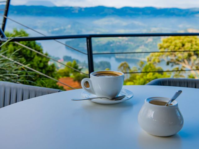 Enjoy a 4 day gorilla trekking and Lake Bunyonyi relaxation safari guided by a local guide and a wildlife photographer. Fly through Kigali to Uganda