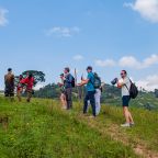 Birding safaris for beginners vs expert birders